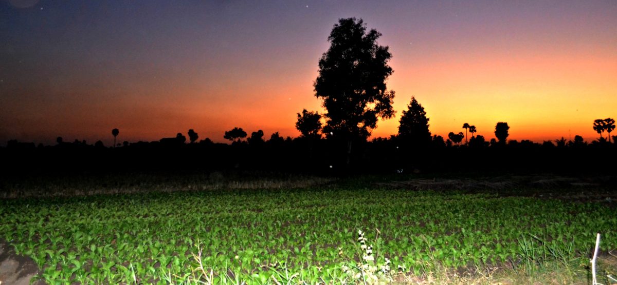Kampot