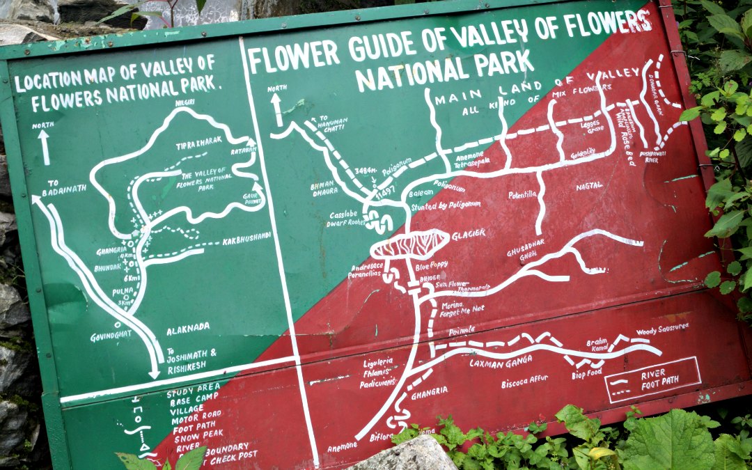 valley of flowers trek