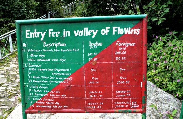Valley of Flowers Trek Guide How to do a solo trip under 2500 INR?