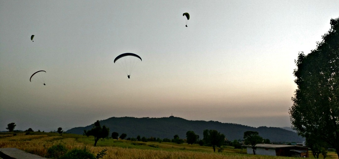 Bir paragliding