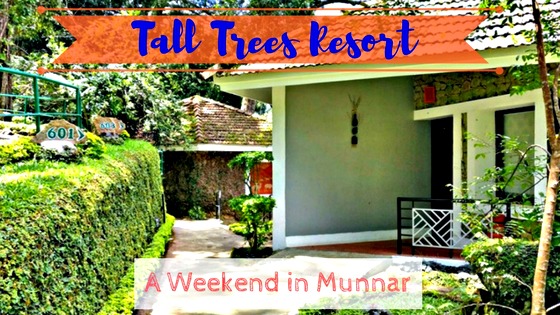 Tall Trees Resort - A Weekend Escapade in Munnar