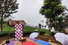 Sterling Ooty Fern Hill