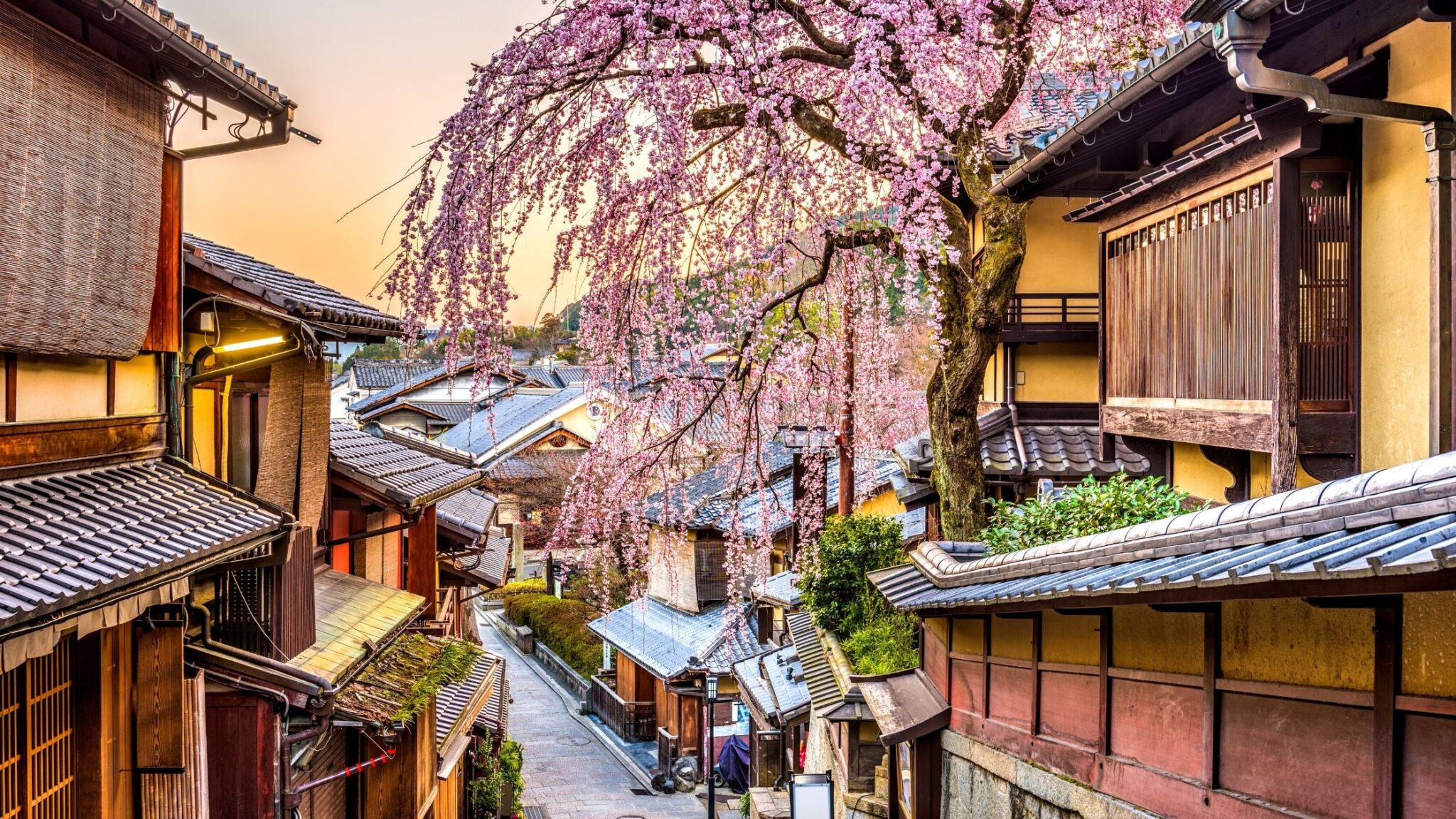 180 Quotes About Japan To Love The Land of the Rising Sun