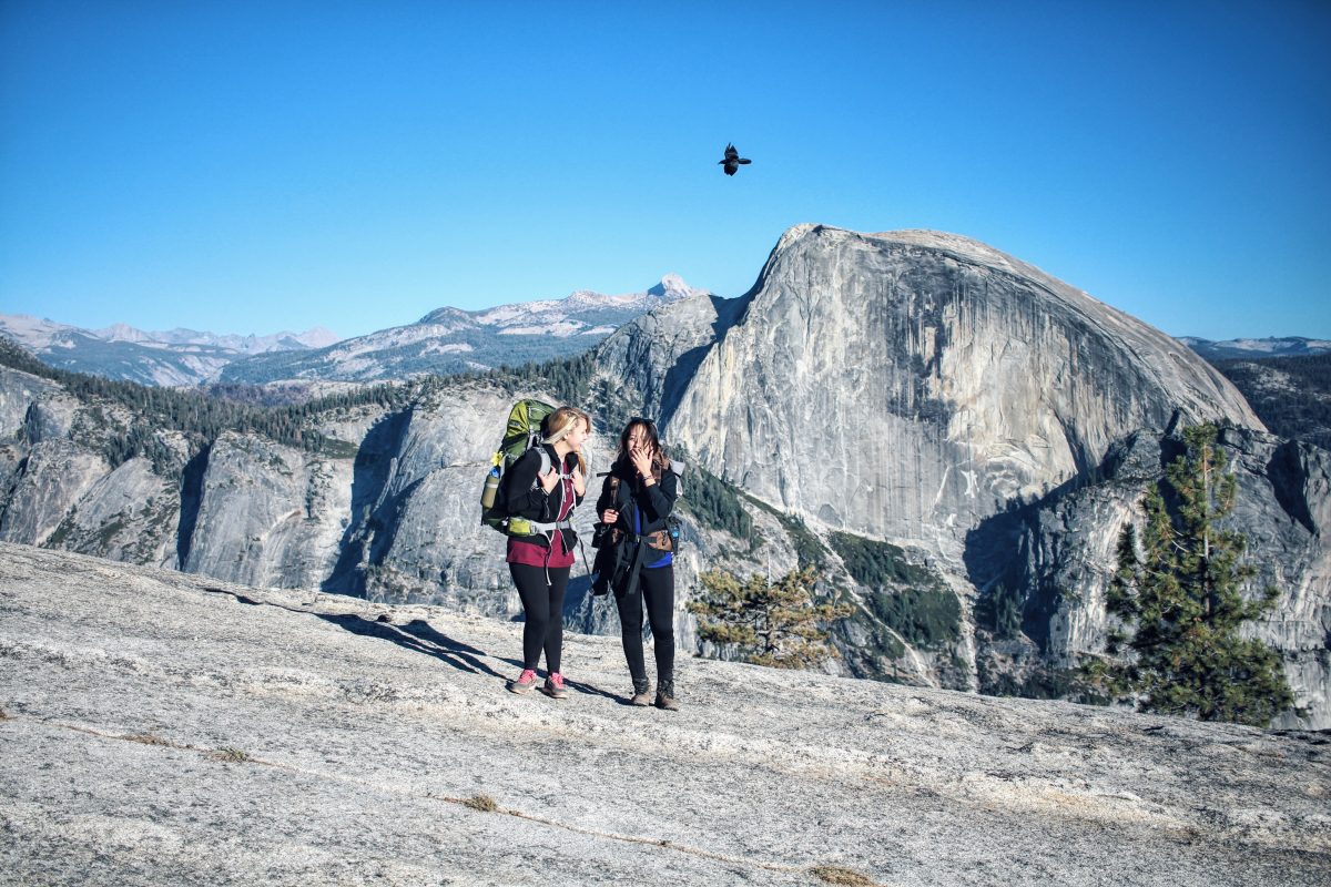 globetrotter travel buddy