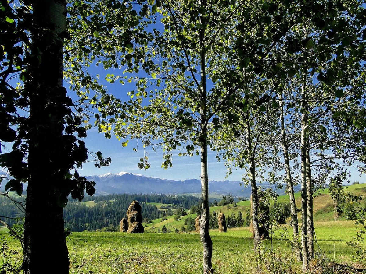 20 Things to do in Zakopane Poland For a Fantastic Holiday