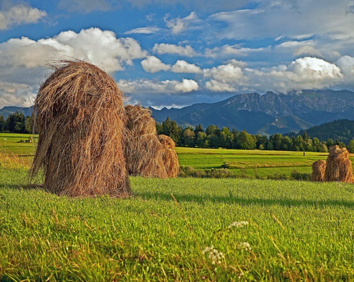 20 Things to do in Zakopane Poland For a Fantastic Holiday