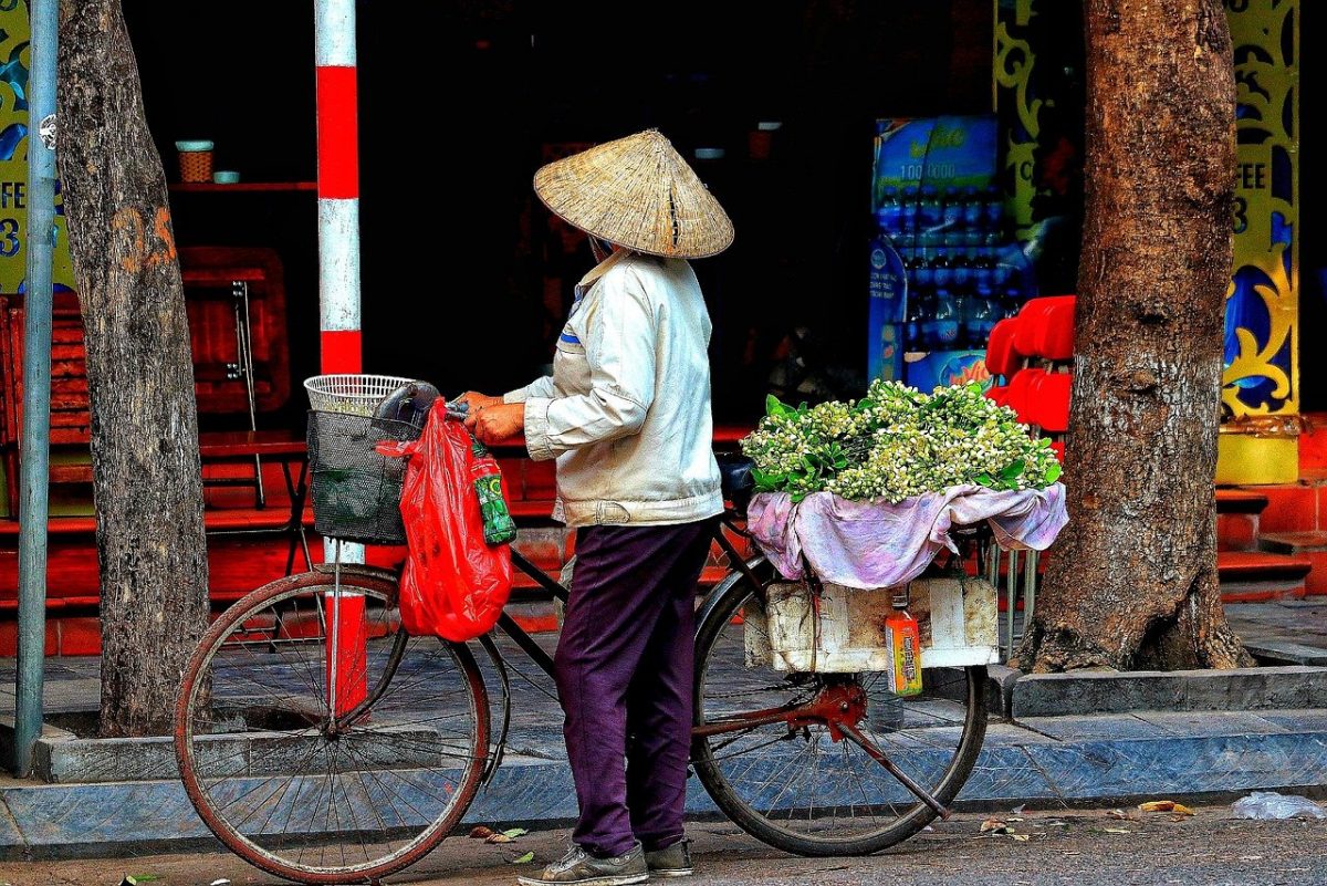 travel itinerary vietnam 3 weeks