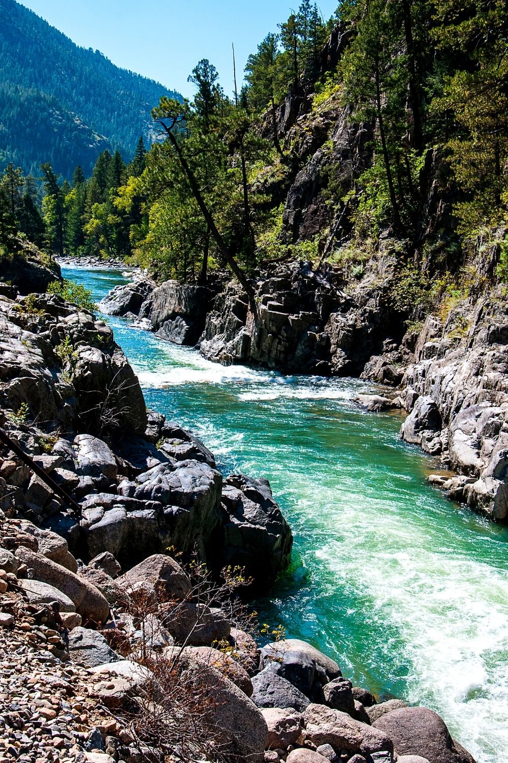 215 Quotes About Colorado To Love Land of The Rockies