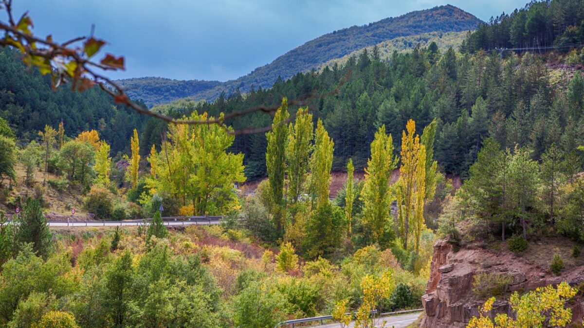 a road trip in spanish