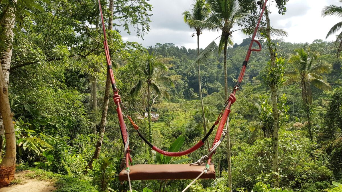 ubud bali swing