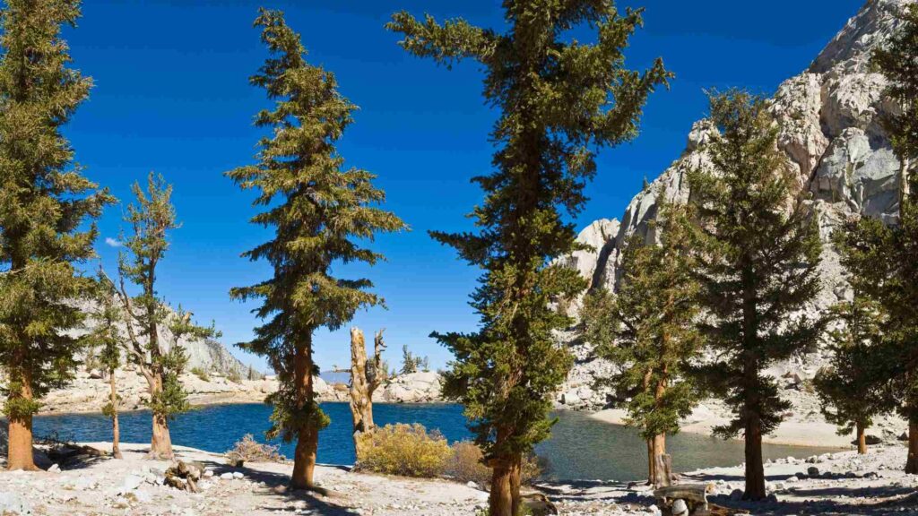 Lone Pine Lake Hiking