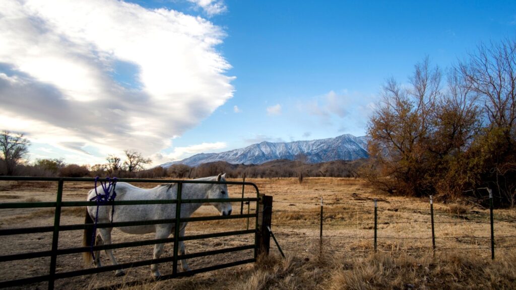 lodging in lone pine California