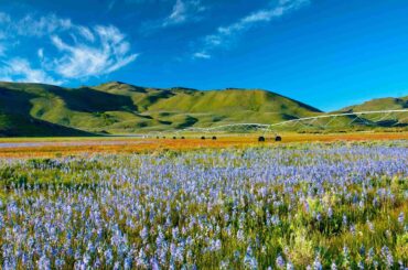 Day trips from Twin Falls Idaho