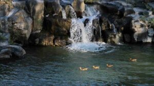 15 Gorgeous Waterfalls In Twin Falls You Can't Miss In Idaho
