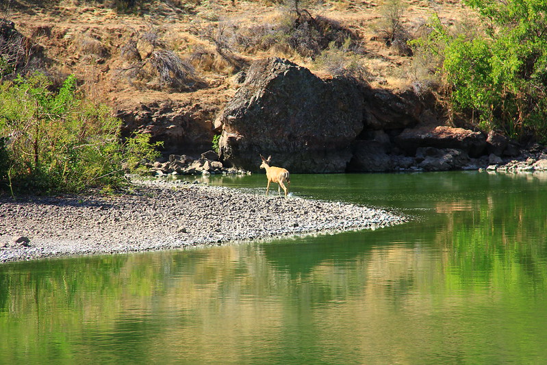 road trips from twin falls