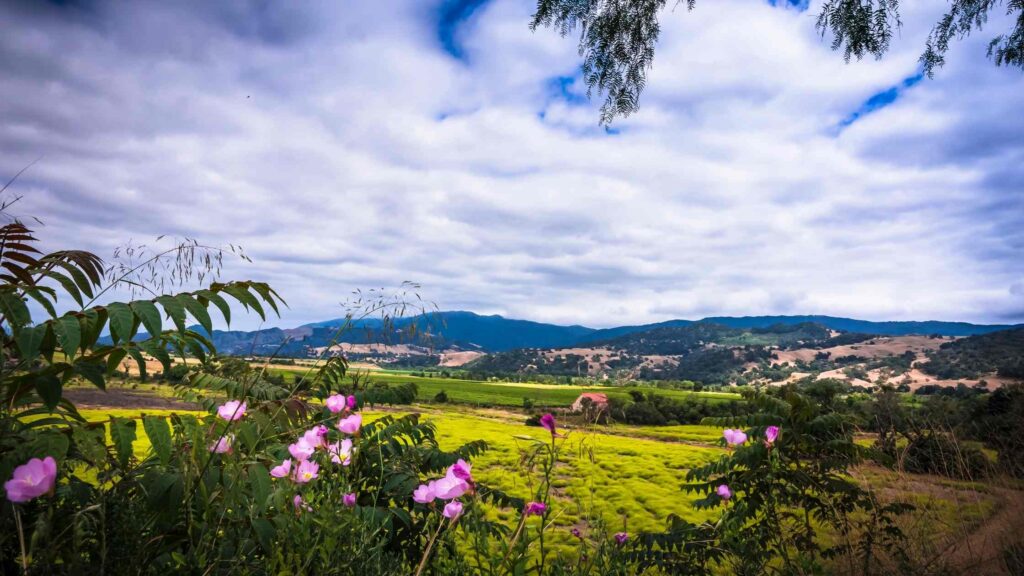 restaurants in solvang