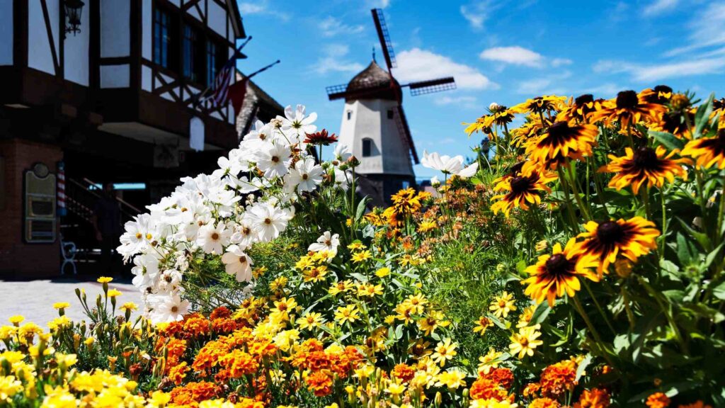 things to do in solvang