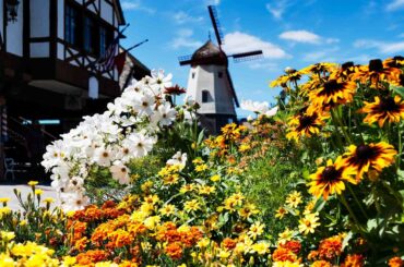 things to do in solvang