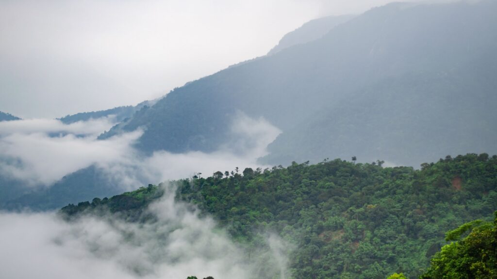 National parks in Arunachal Pradesh