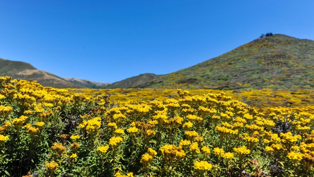 big sur scenic drive