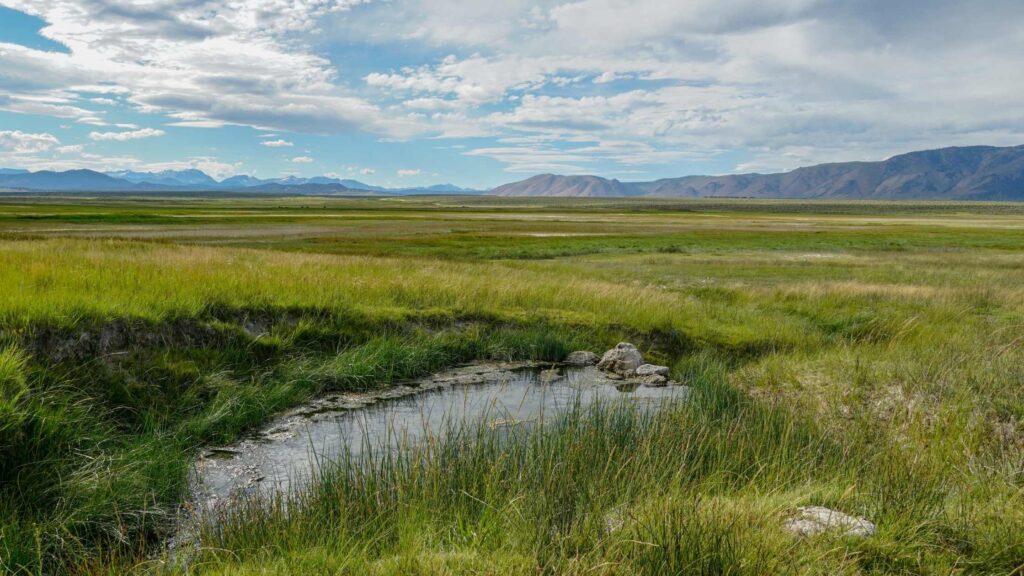 Wild Willys Hot springs