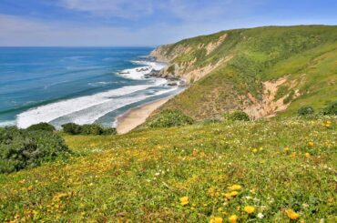 hikes in Point Reyes
