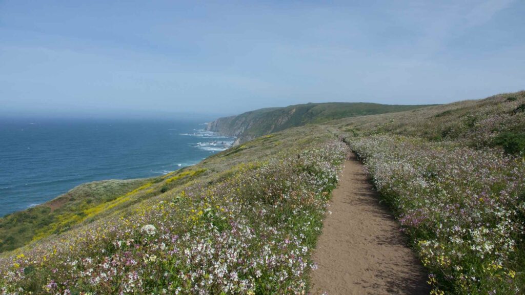hikes in Point Reyes