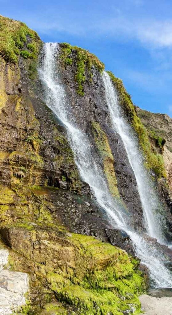 hikes in Point Reyes