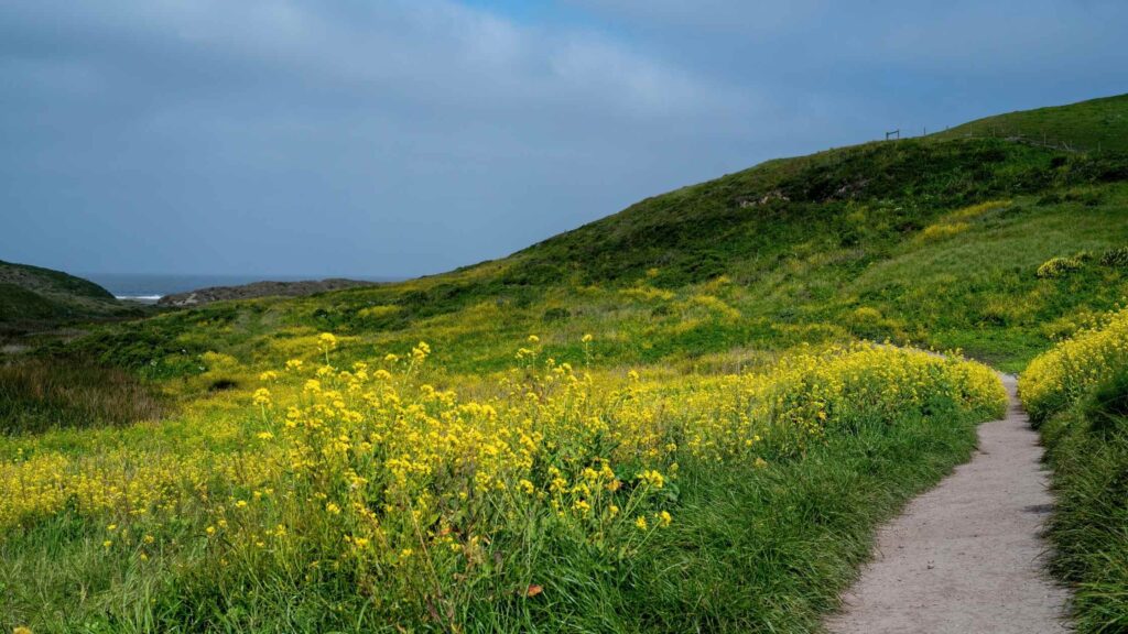 hikes in Point Reyes