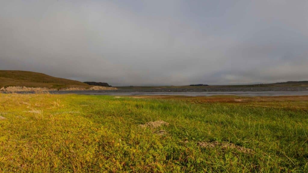 trek in Point Reyes