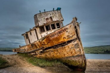 things to do in tomales bay