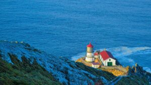 35 Amazing Things To Do In Point Reyes California