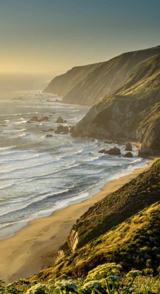 things to do in Point Reyes
