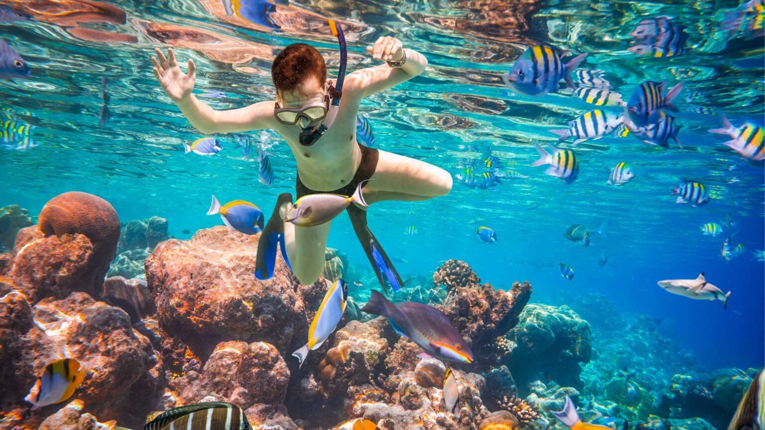 18 Best Things To Do in Manuel Antonio, Costa Rica