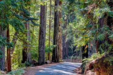 best hikes in Santa Cruz