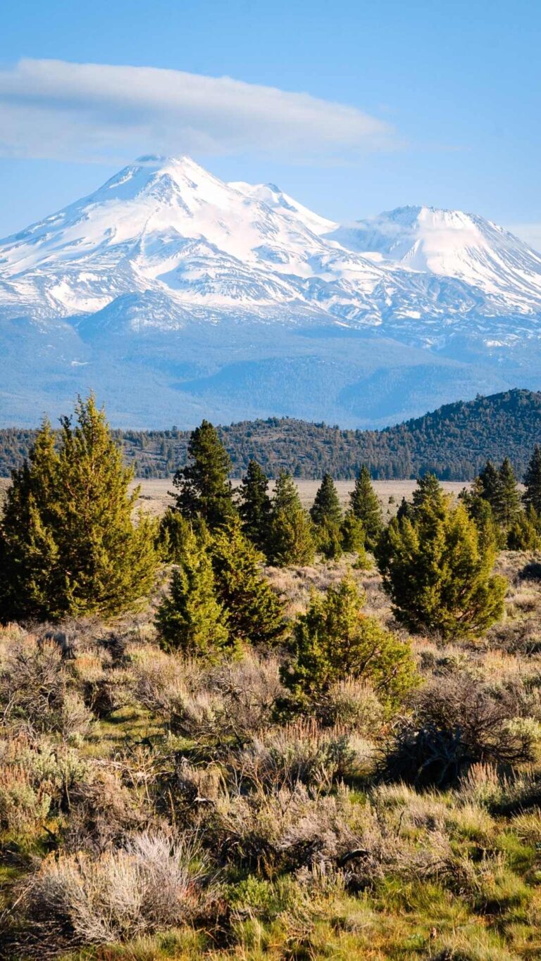 25 Best Places To Visit In California In December For a Getaway