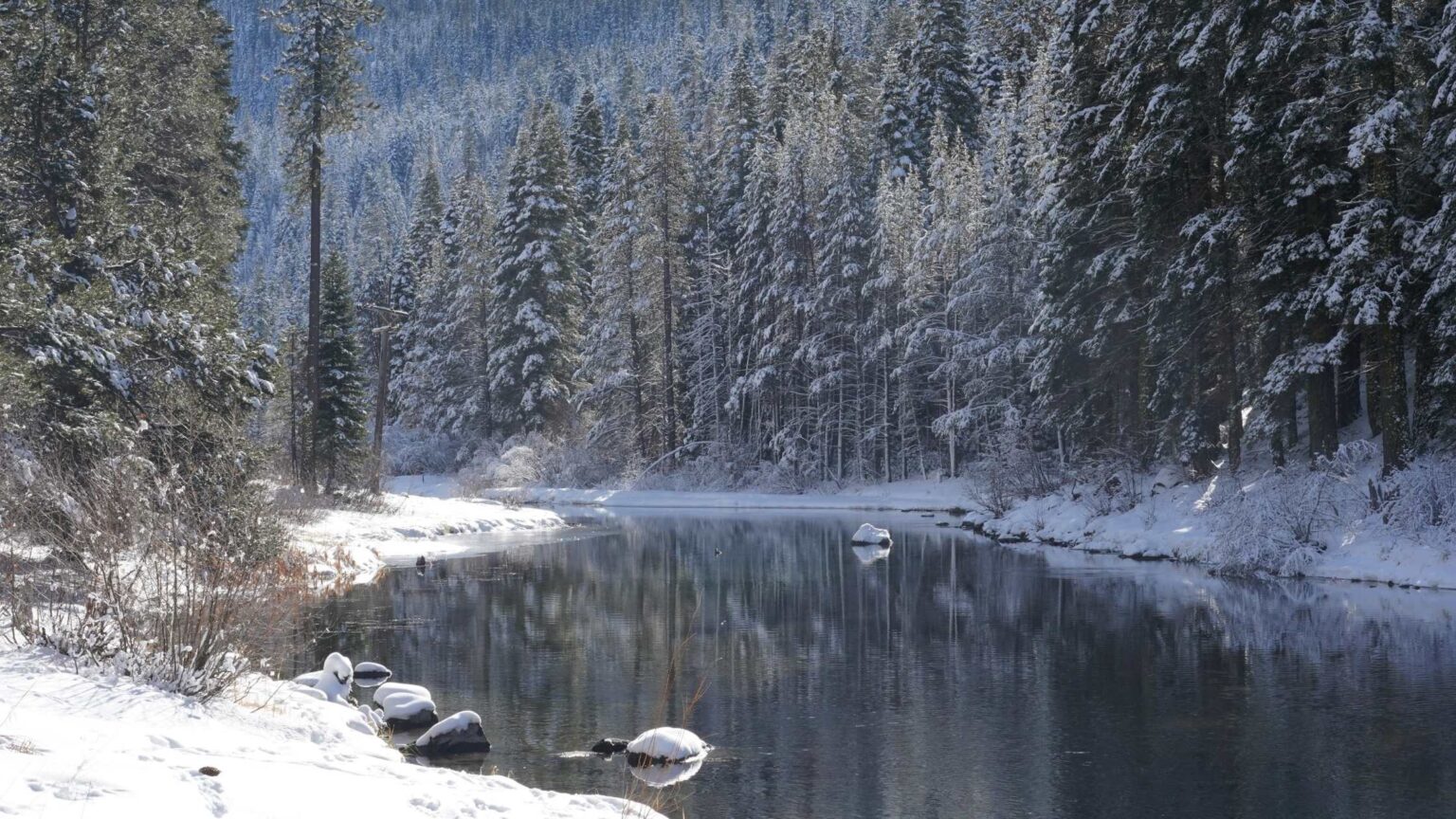 Snow In California 28 Prettiest Places For a White Winter Trip