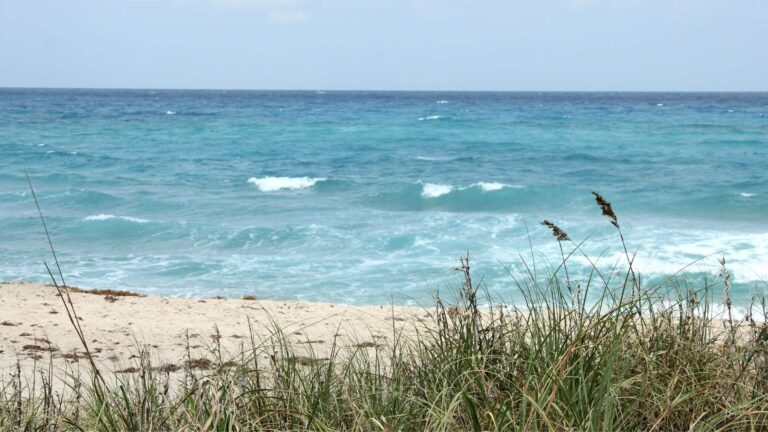 15 Nude Beaches In Florida To Be Free and Fun