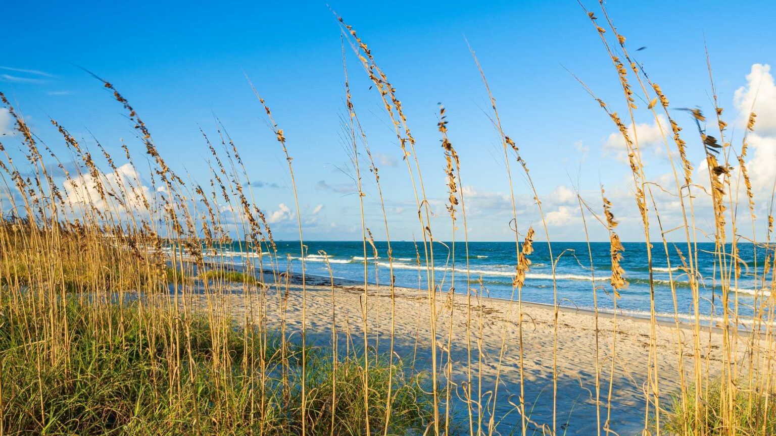15 Nude Beaches In Florida To Be Free And Fun