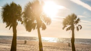 15 Nude Beaches In Florida To Be Free and Fun