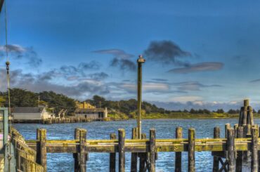 things to do in bodega bay this weekend