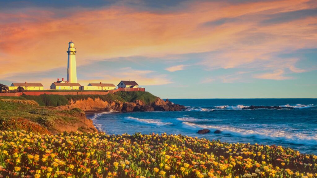 Things to do in Pescadero