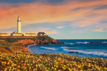 Things to do in Pescadero