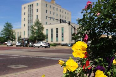 Things to do in Tyler Texas