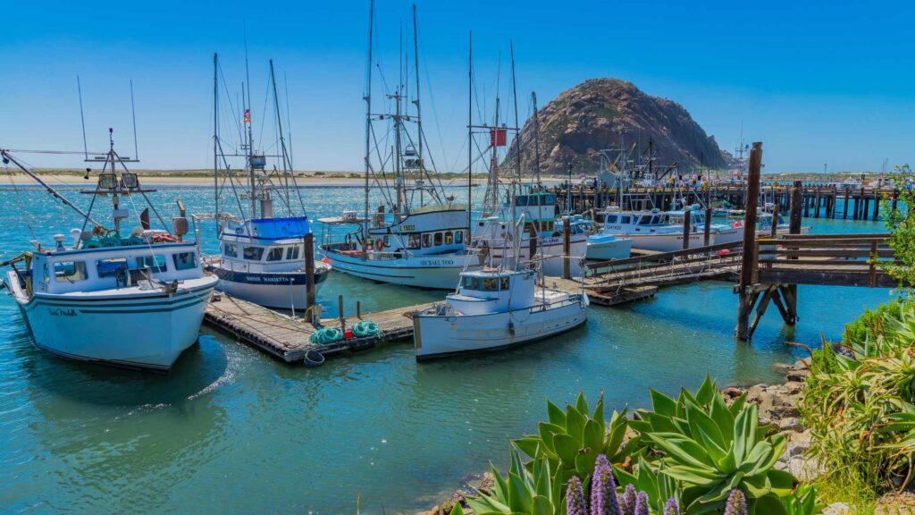 places to visit in morro bay