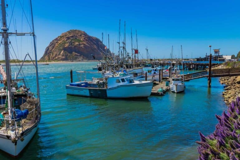 34 Best Things To Do In Morro Bay In California