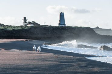 Things to do in San Simeon CA