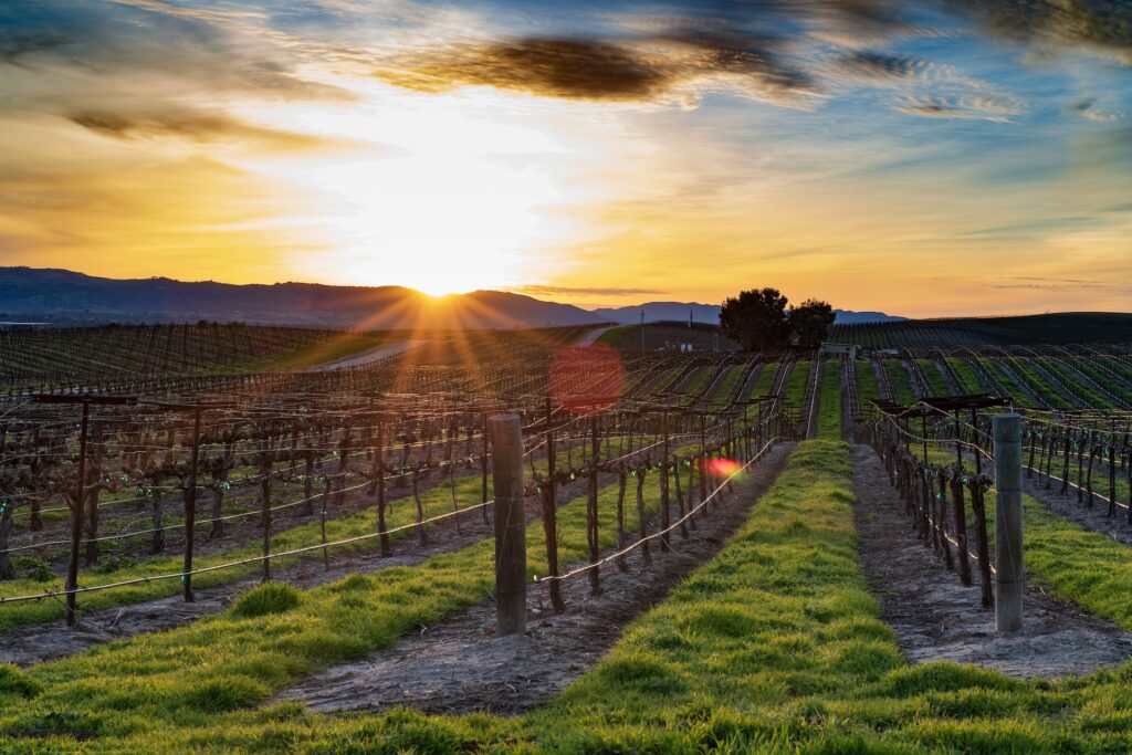 things to do in Paso Robles CA