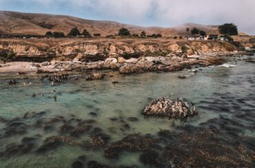 things to do in Cayucos CA