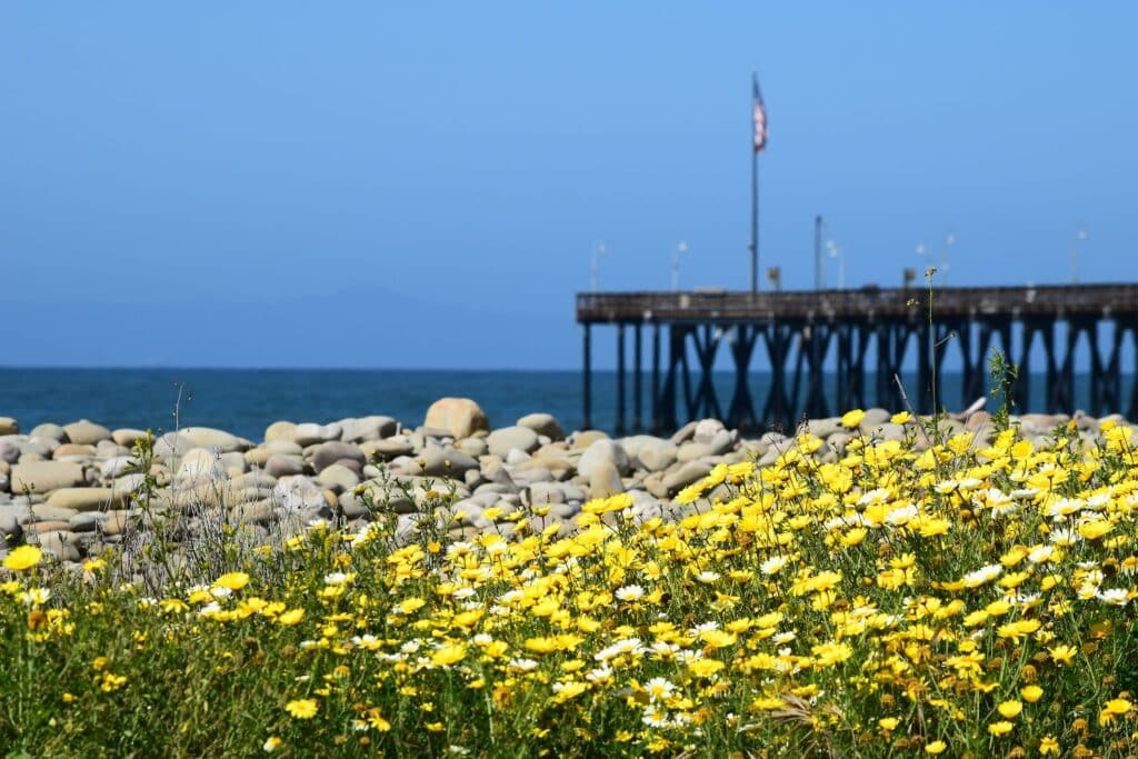 things to do near oxnard ca